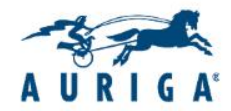 AURIGA